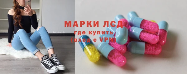 ГАЛЛЮЦИНОГЕННЫЕ ГРИБЫ Белокуриха